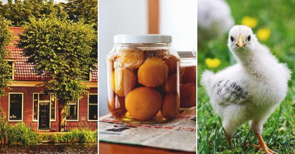 Micro-Farming: What Is It and How Do You Do It