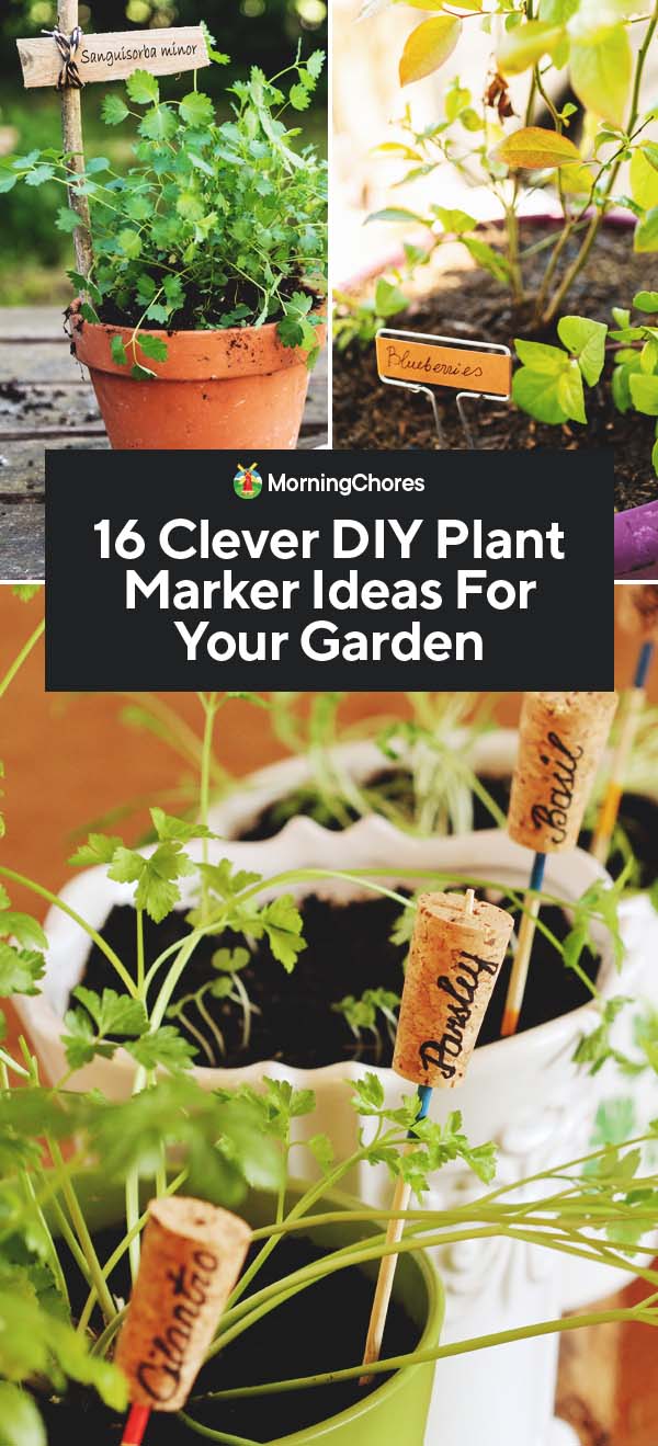 16 Clever DIY Plant Marker Ideas For Your Garden