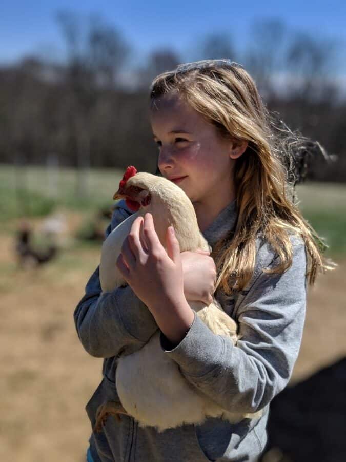 How Raising Chickens Can Teach Children About Responsibility