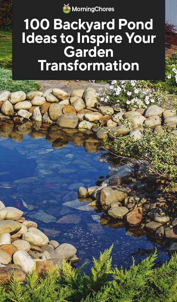 100 Backyard Pond Ideas to Inspire Your Garden Transformation