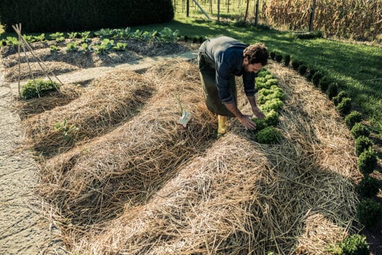 Deep Mulk How to Use the Deep Mulch Method to Improve Your Garden