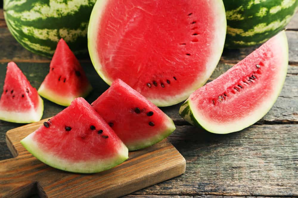How to Grow Watermelon in a Container - 8 Basic Tips for Successful Growth