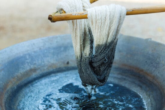 40 Common Plants You Can Forage to Dye Yarn