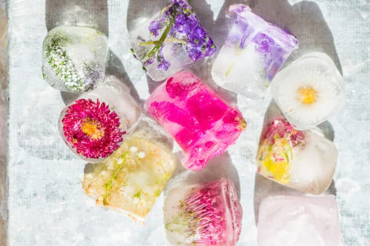Ice For Design How to Make Ice Art to Liven Up Your Winter