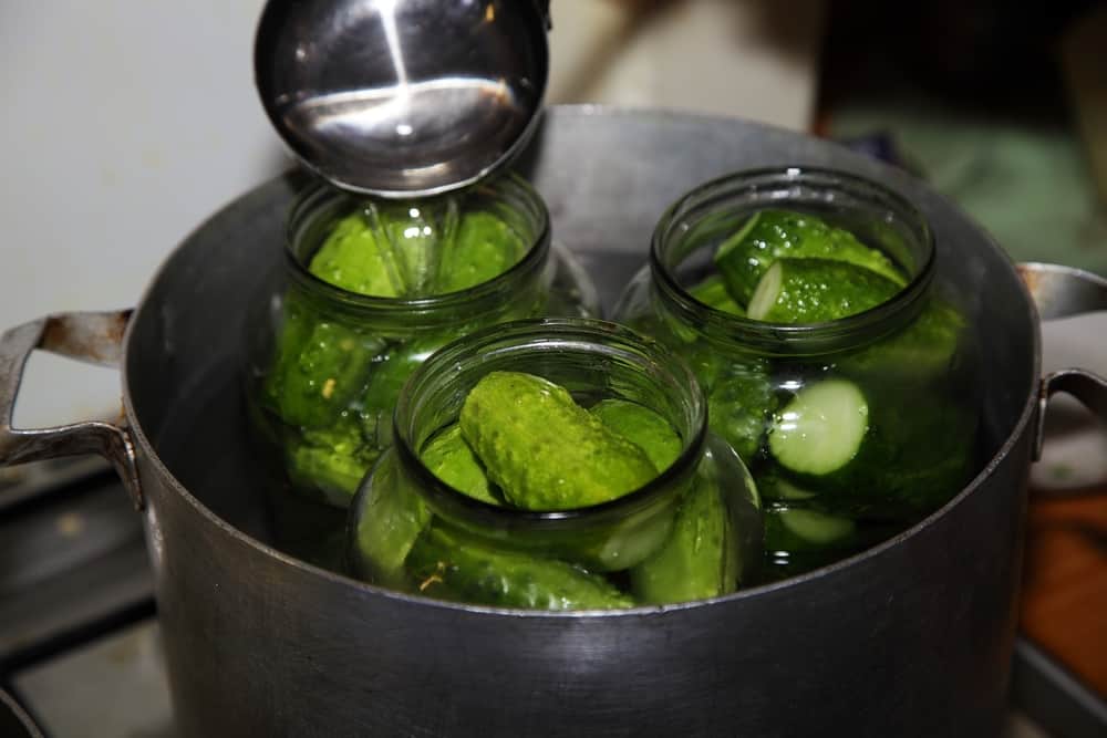 Steam Canning Basics: The Low Water Way to Preserve Your Food