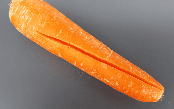 10 Easily Avoidable Causes of Carrot Splitting or Cracking